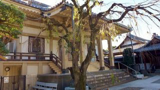 剣客・榊原健吉のお墓があります