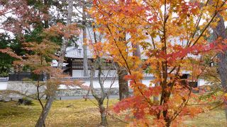 南禅寺境内は紅葉がいっぱいあり、人も多かったです。