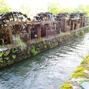 日本で唯一の五連水車