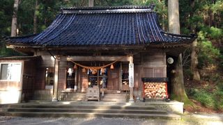 森林浴しながらの参拝