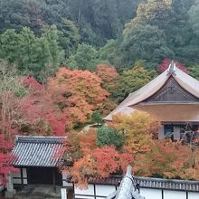 三門からの景色