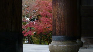 期間限定で登れます