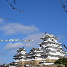 桜の季節にまた行きたい