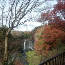 滝まで行かなくても見れる小スペースも作られていたが･･･