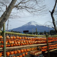 滝の近くには商店が営む駐車場が、該当商店での買い物で無料に