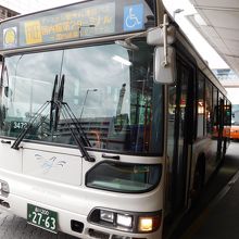 白いバスは国内線ターミナル連絡バス