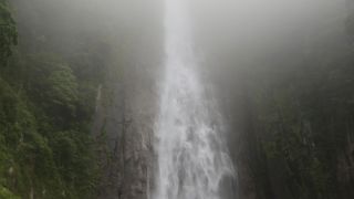 大雨で水量が多いが落ち口の見えない那智の滝