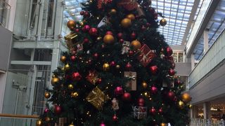 クリスマスツリー