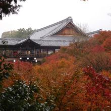 臥雲橋から通天橋を眺めました。