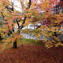 通天橋の手前の方。まだ紅葉を見下ろす感じではありません。