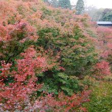 通天橋から臥雲橋を眺める。