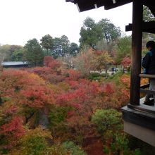 通天橋には少し出っ張った所があります。ここからの眺めがいいで