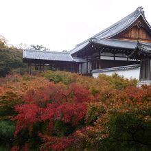 方丈の建物を眺める。
