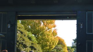 額縁のような美しい門