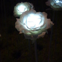 LEDのバラ