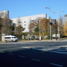 何かがあります