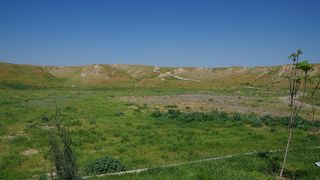 市街を見下ろす小高い丘