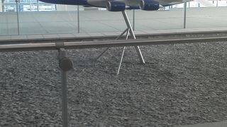 審査場があるのはところからBゲートは遠い