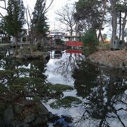 歴史の古い国分寺薬師堂を囲む庭園で、桜の名所にもなっている