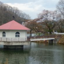 湖風景、春は桜が咲いています