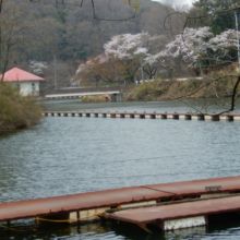 湖風景