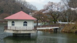 釣りと桜の名所です