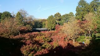 紅葉の絶景スポット