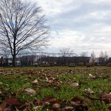 落葉の芝生広場とサッカー場