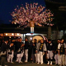 三州吉良太鼓の皆さん