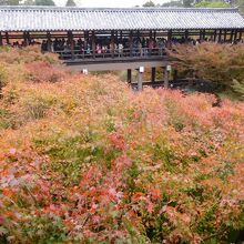 通天台からの眺め