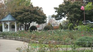 まだまだ　最近