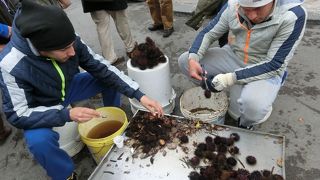 楽しい市場で干しトマトを買った