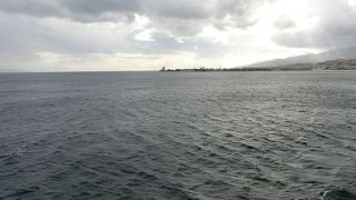 フェリーで20分です