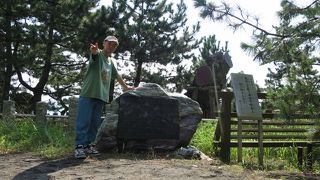 松くい虫の影響が！