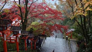 雨の参道をゆっくりのんびり歩く。