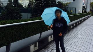 何かと楽しめます