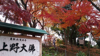 見所いっぱい、紅葉も綺麗。