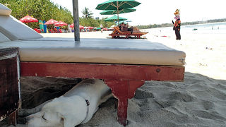 晴れの日は危険