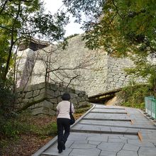 リフト降り場からは歩いて上がります