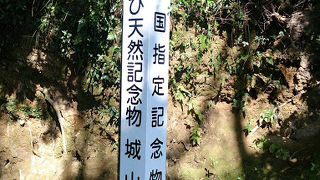 鹿児島の中心部に位置する小高い山