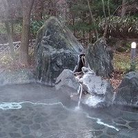 源泉掛け流しの露天岩風呂は自然も豊かで気持ちが良いです