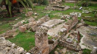 アントニヌスの共同浴場の山側