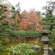 東福寺の奥の方にあるので、人が比較的少なかったです。紅葉があちこちにあります。