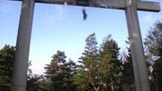 北野天満宮の玄関