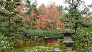 東福寺の奥の方にあるので、人が比較的少なかったです。紅葉があちこちにあります。