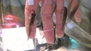 別角度から見れる