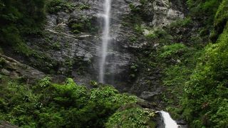 高知県最大の滝(暫定的)