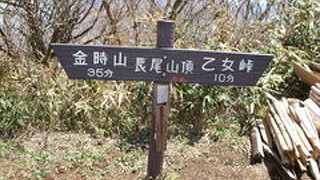 長尾山