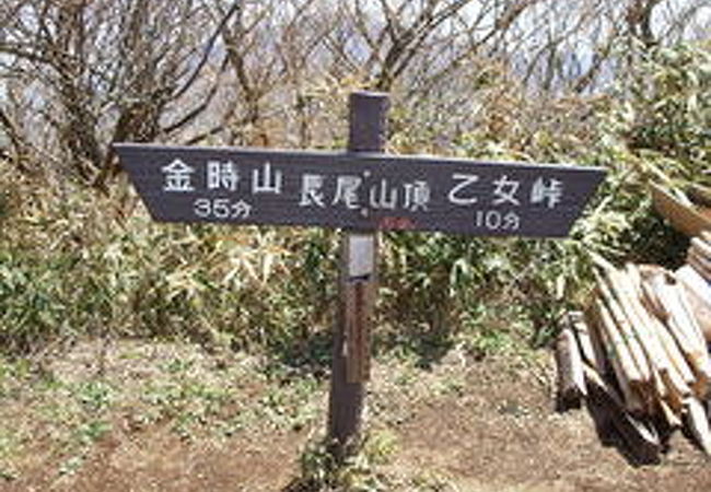 長尾山