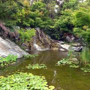 浜名湖ガーデンパーク　百華園